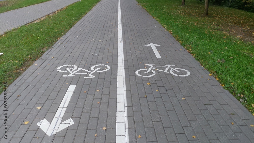 Obraz premium The bike lane, located between the park's trees and the roadway of a city street, is paved with concrete tiles and marked with pavement markings. In the autumn, yellowed fallen leaves lie on the path