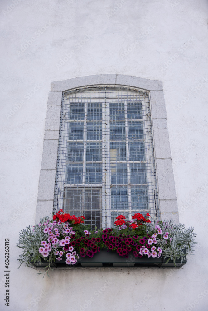 Fenêtre grillagée avec fleurs, Québec,  verticale