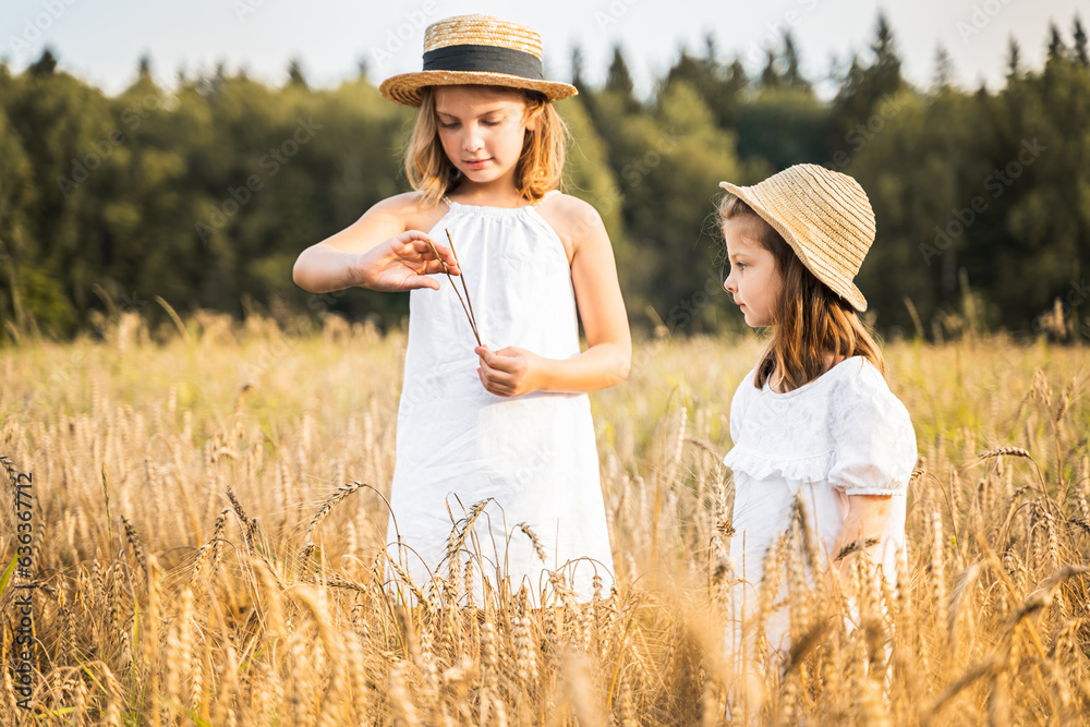 Happy girls walks in beautiful wheat field, embracing summer's yellow sun, nature freedom outdoors. White dress, straw hat, surrounded by rye, barley.Autumn harvest time rural scene.Own piece of land