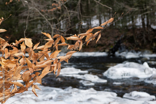 haley brook winter scene new england photo