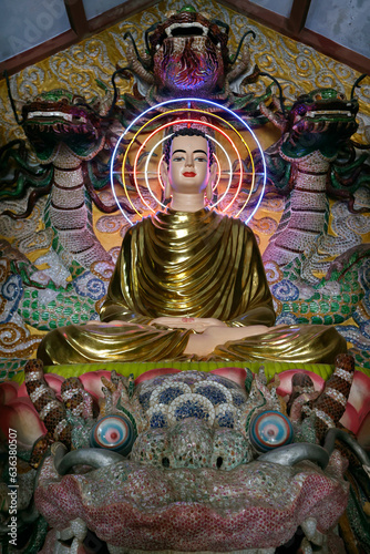 Religion and spirituality. Buddhism.