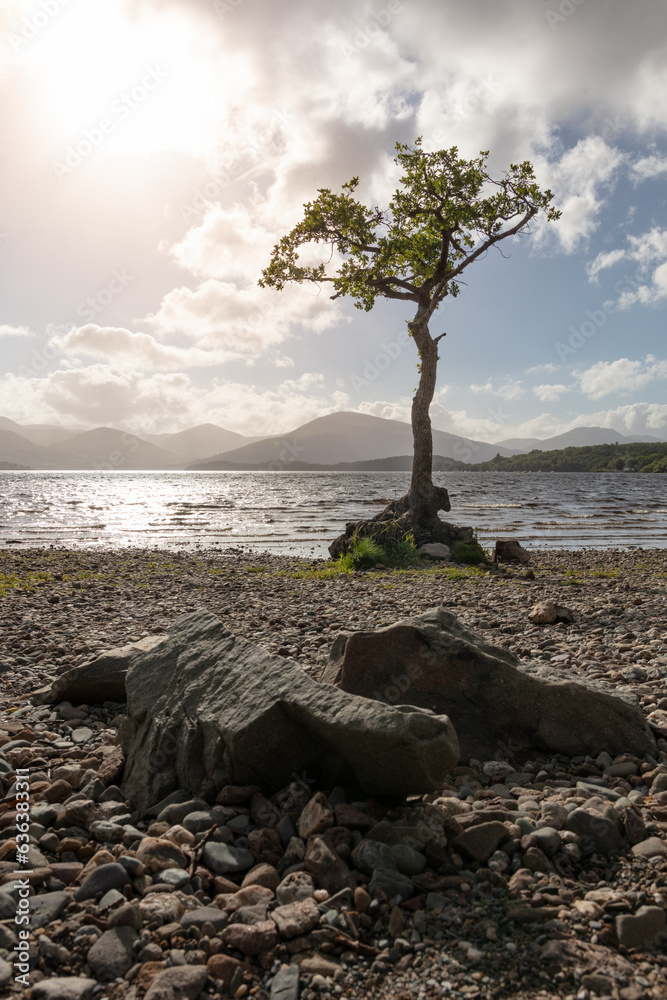Scotland Scotland