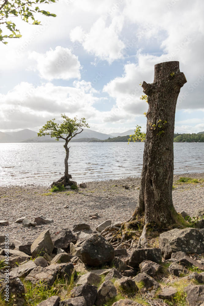 Fototapeta premium Scotland