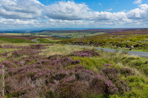 Pott Moor High Road between Lofthouse and Masham in Summertime when the moorland is covered in purple heather with Leighton Reservoir in the distance. Nidderdale, AONB North Yorkshire photo