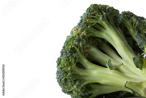 Head of broccoli cabbage lies on a white background.... photo