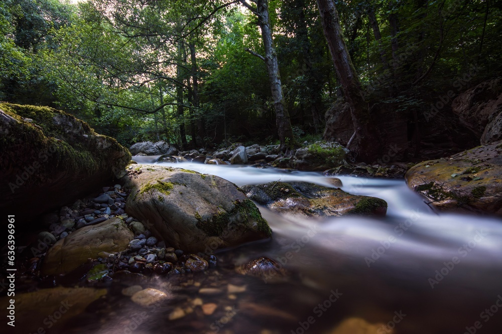 Flowing Piguena River in Somiedo Natural Park, Principality of Asturias, Spain Flowing Piguena River in Somiedo Natural Park, Principality of Asturias, Spain
