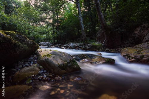 Flowing Piguena River in Somiedo Natural Park  Principality of Asturias  Spain