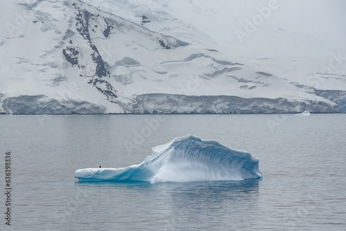 Stunning view of a group of penguins standing atop a snow-covered iceberg in Antarctica