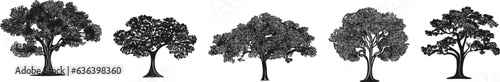 Tree silhouette. Simple black outlines of various trees. Silhouettes of plants in various positions. Forest set in flat style. Vector illustration.
