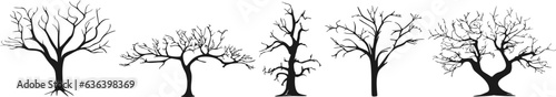 Tree silhouette. Collection of black contours of trees without leaves. Various trees in different positions. Forest set in flat style. Vector illustration.