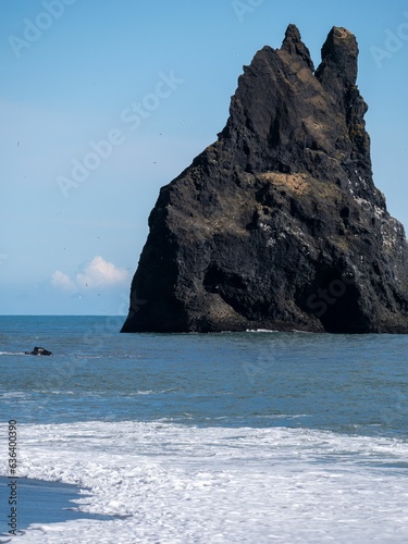 a lone bird on a sandy beach near the ocean in front of a rock formation