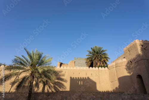 photo of a palm tree in Nizwa market with shade and background of an old wall