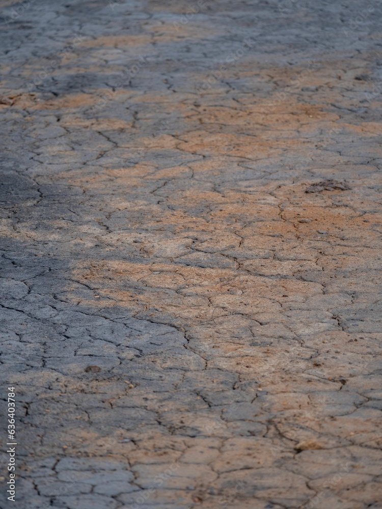 Close-up shot of an earthen ground composed of small grey rocks and muddy soil Close-up shot of an earthen ground composed of small grey rocks and muddy soil