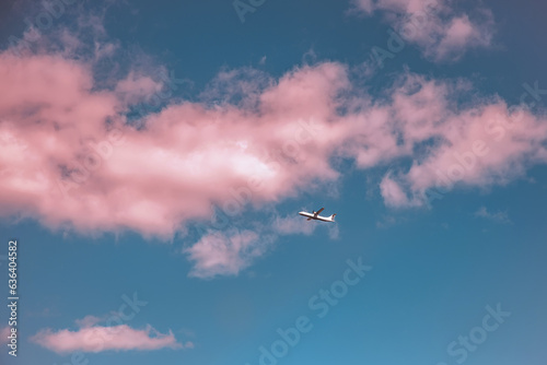 Airplane in the sky with pink clouds at sunset. Travel, freedom