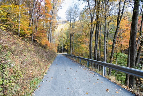 Fototapeta Naklejka Na Ścianę i Meble -  Scenic view of West Virginia country road on a beautiful fall day
