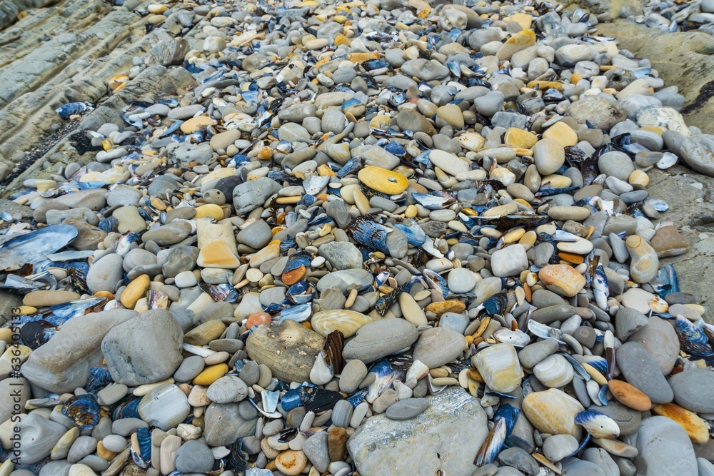 Stunning view of a rocky shoreline with pebbles and rocks Stunning view of a rocky shoreline with pebbles and rocks