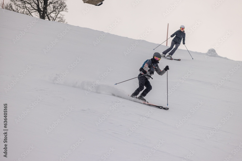 Skiers dressed in snow suits are gliding downhill in a wintery landscape Skiers dressed in snow suits are gliding downhill in a wintery landscape