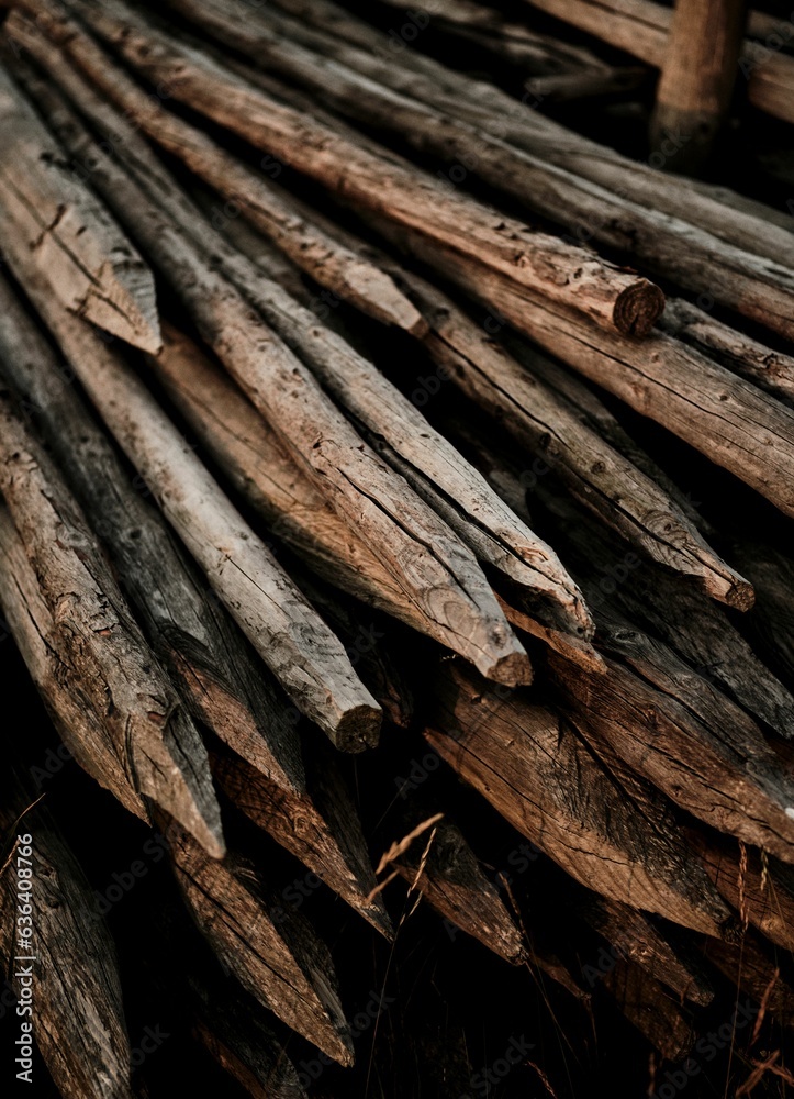 Vertical shot of a pile of wooden logs, stacked on each other Vertical shot of a pile of wooden logs, stacked on each other