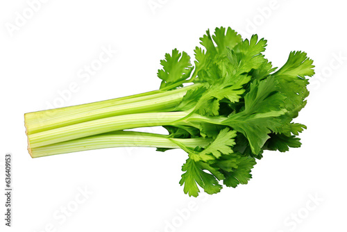 Celery isolated on white background. Generative AI