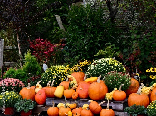Obraz na płótnie Closeup of orange pumpkins on a stack in a garden for Halloween