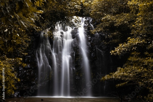 Ellinjaa Waterfalls in Autmn season  with golden brown leaves