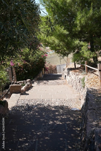 View of a tranquil outdoor setting featuring a stone walkway surrounded by trees