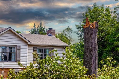 Large tree broken off surrounded by branches in front of neat little house after storm