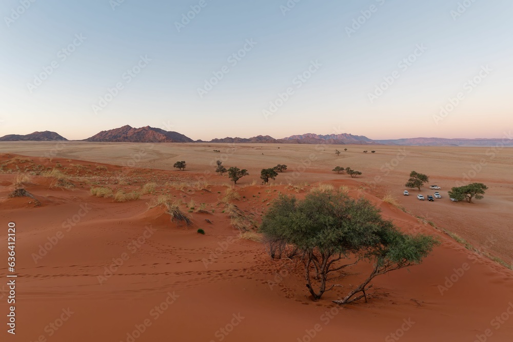 Captivating view of the beautiful orange sand dunes in the Namibian desert