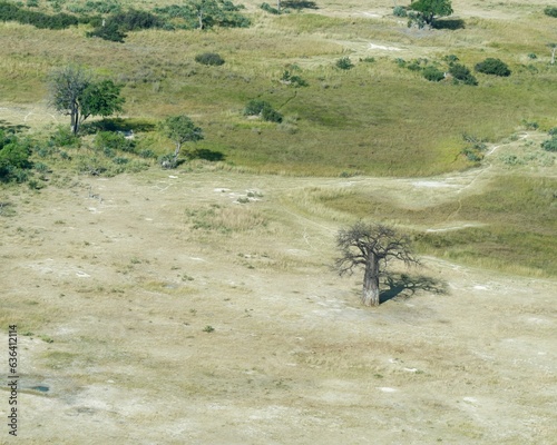 Aerial view of the breathtaking Okavango Delta, Botswana, Africa photo