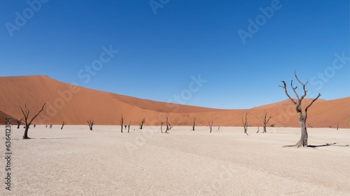 Scenic view of Deadvlei in the Namib-Naukluft National Park in Namibia