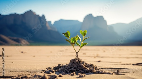 A plant growing in the sand with mountains in the back