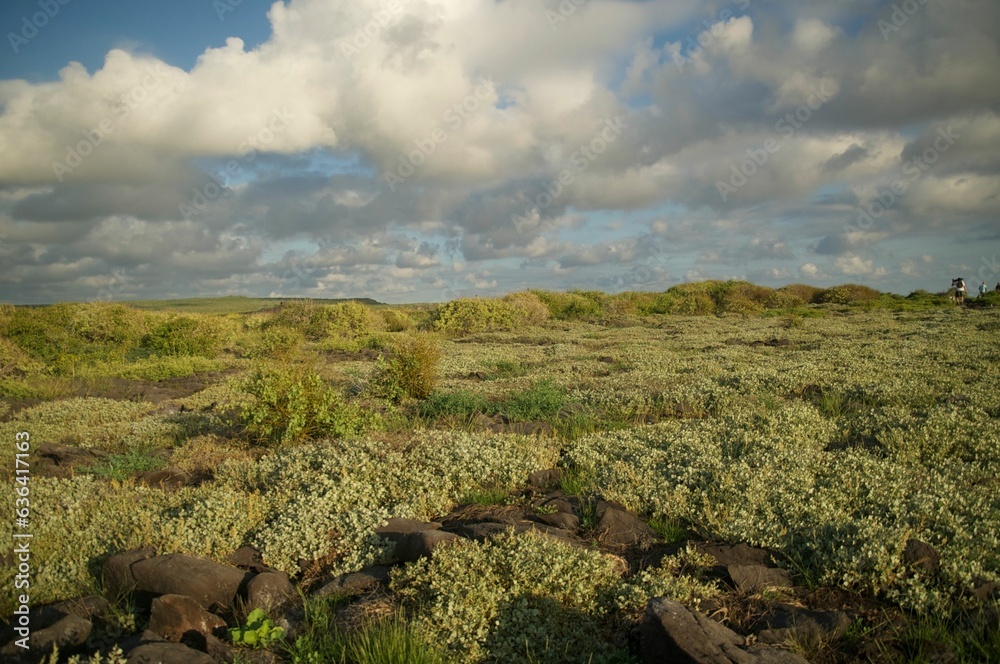 landscape of a field in Galapagos Islands
