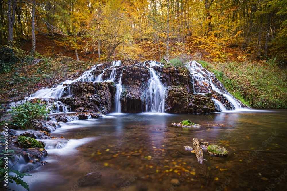 Waterfall dropping from a forest to a river with autumn trees in the background Waterfall dropping from a forest to a river with autumn trees in the background