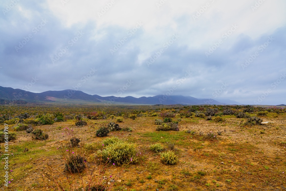 Fototapeta premium Stunning view of the Atacama desert under an overcast sky