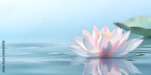 Bright blooming pink water lotus flower. Blue background. Meditation symbol.