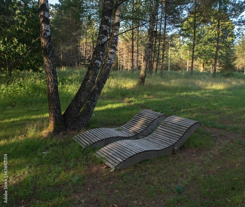 Closeup of wooden benches in a  natural environment of trees and lush grass  in Plateliai, Lithuania photo