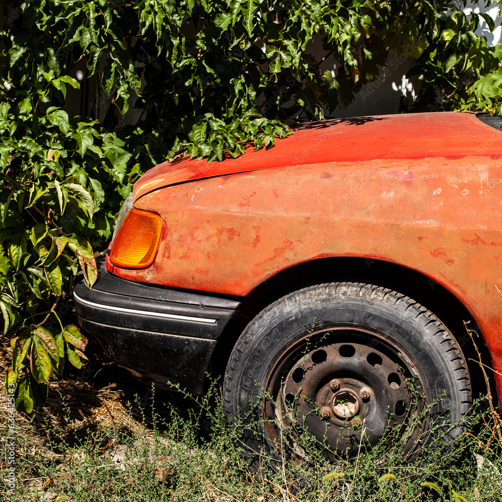 Abandoned red car in dense vegetation. Close-up. Square photo for social media.