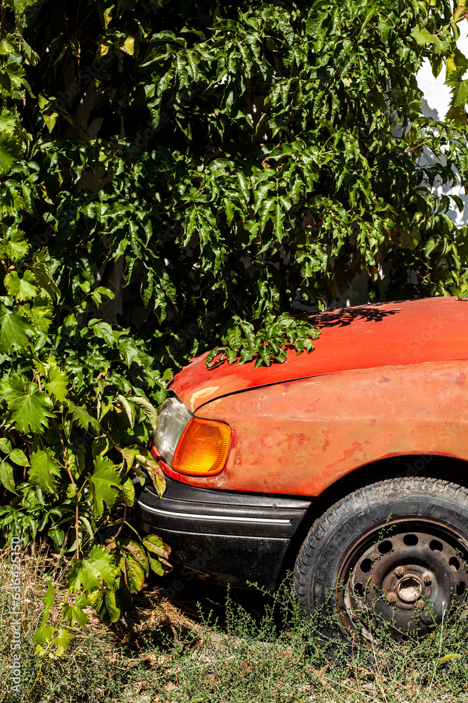 Abandoned red car in dense vegetation. Close-up. Concept of unwanted things.