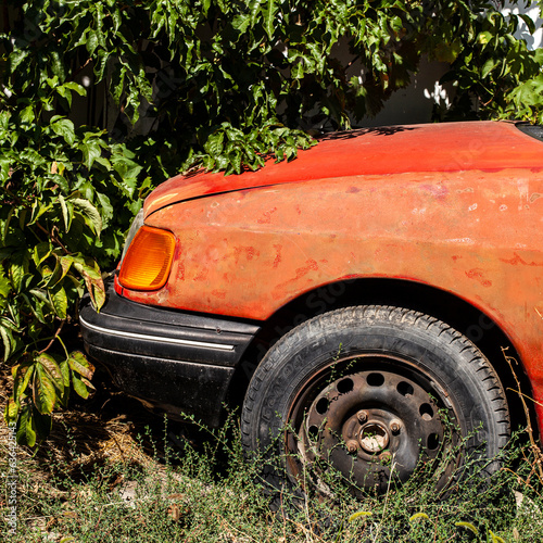Obraz na płótnie Abandoned red car in dense vegetation. Close-up. Square photo for social media. w salonie