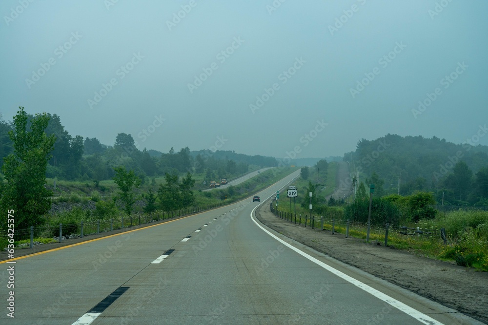 Fototapeta premium Scenic view of a long empty highway winding through a lush forest with tall trees