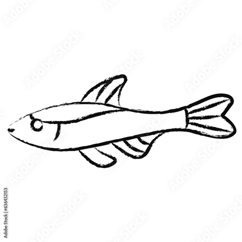 Hand drawn Neon tetra Fish icon