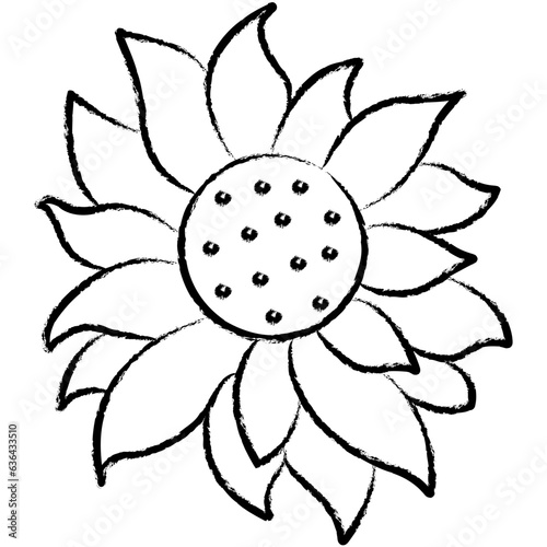 Hand drawn Sunflower flower icon