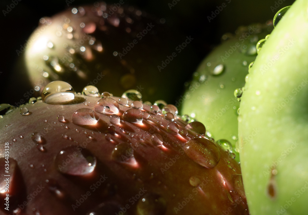 water drops on a red apple water drops on a red apple