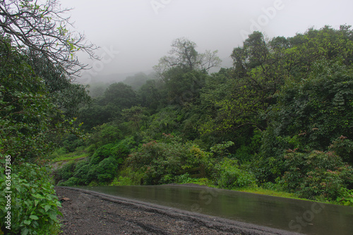 Panoramic landscape view of beautiful wet winding road of Tamhini ghat. Located in Pune, Maharashtra, India, it is surrounded by lush green scenery
