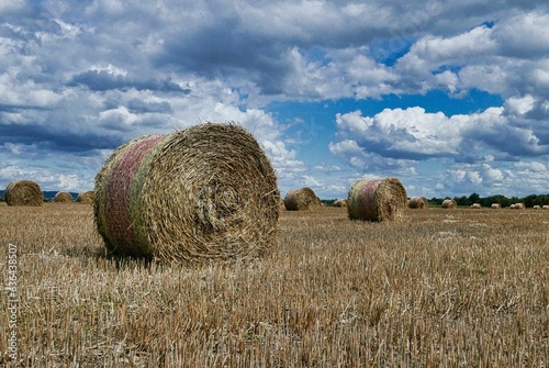 Scenic view of hay bales in a field in the countryside in Germany