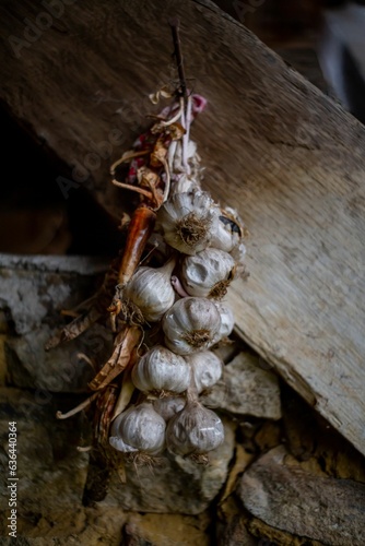 Close-up of garlic bulbs hanging on a wooden desk