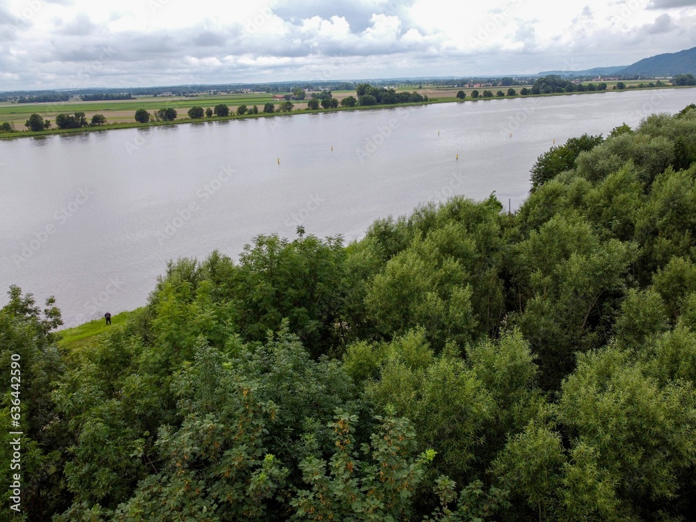 Aerial view of a lake with green vegetation at the shore