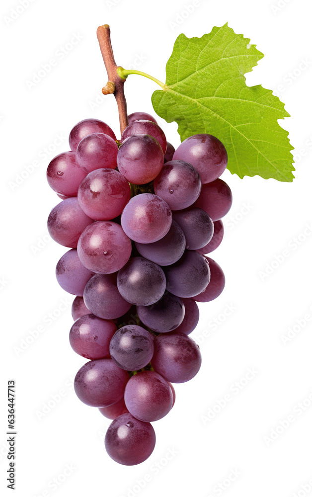 Fototapeta premium blue grapes bunch isolated on white background. Generative AI