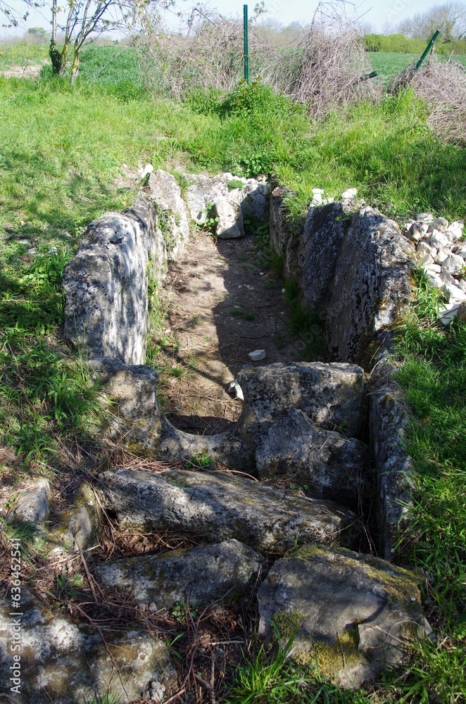 Prehistoric monument in a forest near Paris in France, Europe Prehistoric monument in a forest near Paris in France, Europe