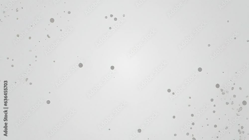 Old Retro Vintage 35mm Film Projector Overlay Dirt Grunge Animated Loop
